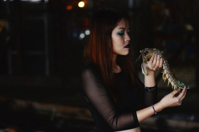 13662222544_f59bbb640d_o