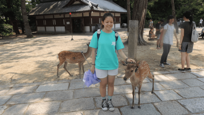 "Deer can smell fear from a mile away" - ancient proverb