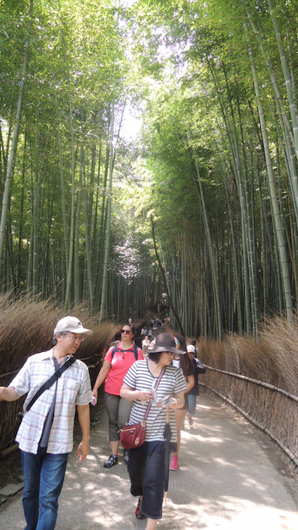 The famous Arashiyama Bamboo Grove