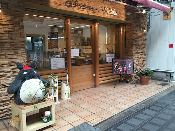 I took this photo cus of the Totoro